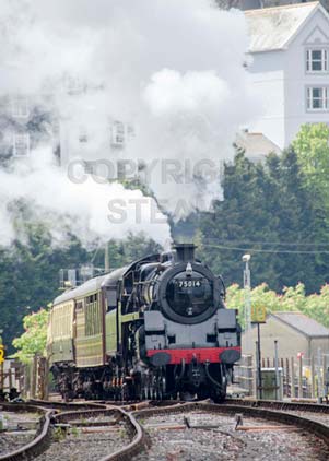 Purchase photo of 75014 BRAVEHEART at Dartmouth Steam Railway